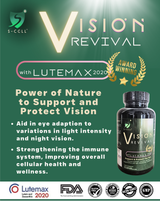 VISION REVIVAL
