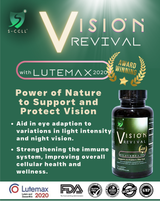 VISION REVIVAL