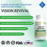 VISION REVIVAL