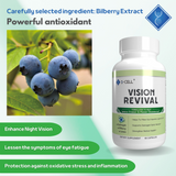 VISION REVIVAL