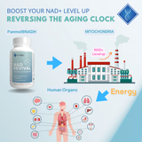 NAD Revival: NAD Supplement