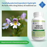 VISION REVIVAL