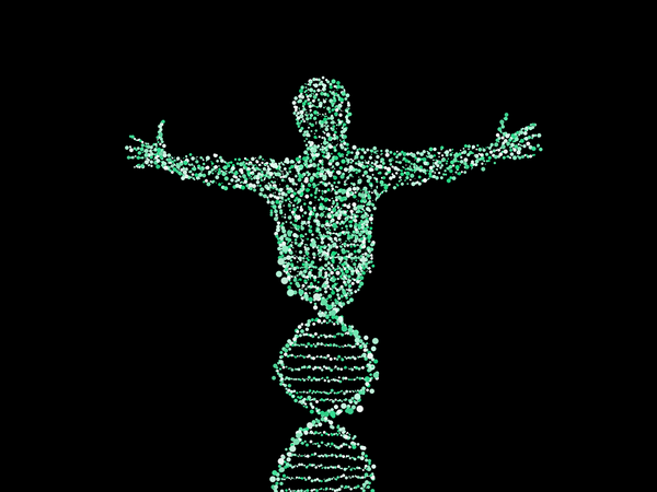 Understanding Genetics: Does Your DNA Change Over Time?