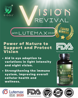 VISION REVIVAL