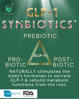 GLP-1 Synbiotics