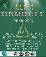 GLP-1 Synbiotics