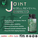Joint Revival