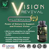VISION REVIVAL
