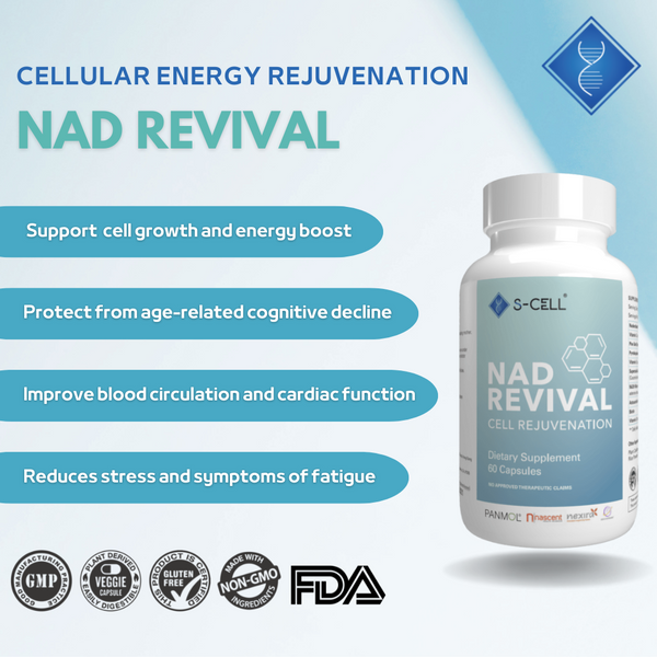 NAD REVIVAL (3-Month Pack)